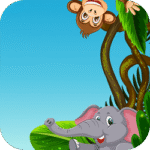Animals Memory